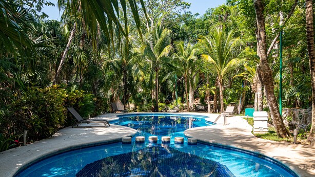 A pool area with two circular pools surrounded by lush greenery and trees. - Low Season rate!
 Cozy 3 house, close to the beach, w/private pool and BBQ (Playa del Carmen)