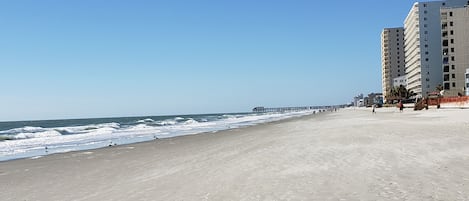 Nära stranden