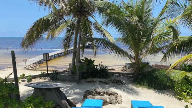 A beach with lounge chairs and a pool area, surrounded by palm trees and rocks.