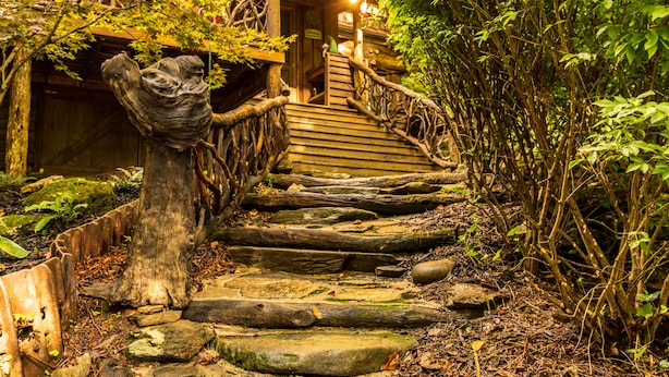 Una escalera de madera que conduce a un edificio rodeado de abundante vegetación.