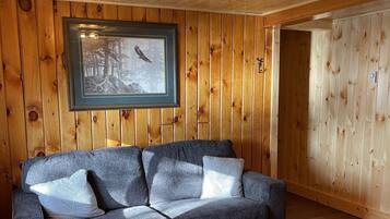 55-inch Smart TV with cable channels, TV, Netflix