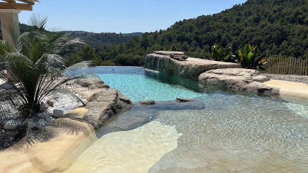 A clear pool with a rocky edge, surrounded by palm trees and a mountainous backdrop. - Villa 8pers with view and exceptional swimming pool (Bargemon)