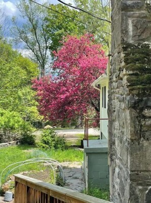 Escape to a serene garden oasis with lush greenery and a picturesque tree.