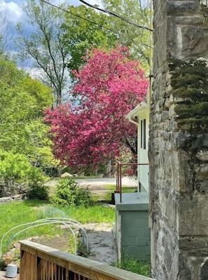 Escape to a serene garden oasis with lush greenery and a picturesque tree.