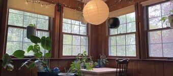 Starlight Cottage Nestled in Trees with Big Yard, close to lake 