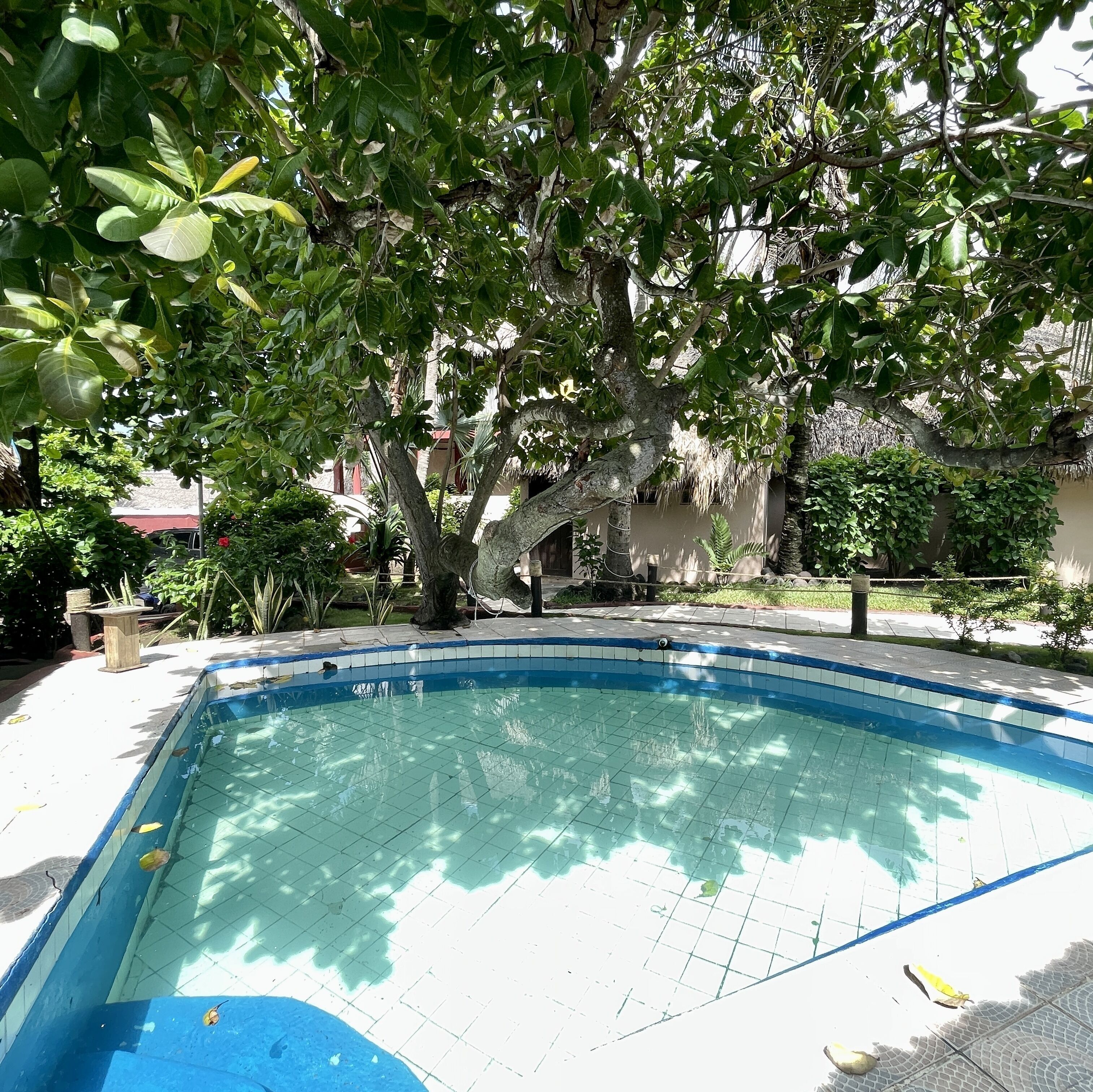 A swimming pool with a tiled edge, surrounded by trees and a building in the background.