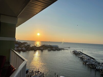 Boat, Beach, Fish, Relax! Premium, Top Floor Views of The Bay!