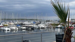 Un port de plaisance avec des bateaux amarrés, un palmier au premier plan et un ciel nuageux.