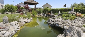 Magnificent, cosy studio