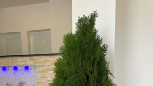 Un árbol conífero en maceta, dentro de una jardinera blanca, en un vestíbulo con suelo de baldosas y una pared de piedra con una sección iluminada en azul.