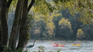 A serene river scene with kayaks and a heron near the water's edge.
