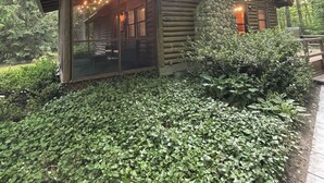Una cabaña de madera con chimenea de piedra, rodeada de abundante vegetación y una guirnalda de luces.