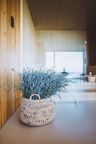 Design villa in wine-growing region Brda - Merlot Appartment