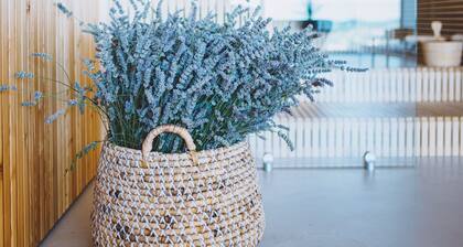 Design villa in wine-growing region Brda - Merlot Appartment