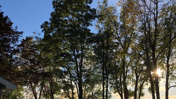 A serene lakeside setting with a grassy area, a hammock, and a deck with outdoor furniture. - Lakeside Sunset Cottage & Hot tub (Alburgh)