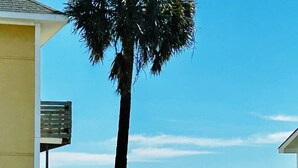 A beach view with a palm tree, a wooden deck, and a building. - Pet Friendly - Ocean View Huge Deck -  Across from Beach - Walk to Center St (Folly Beach)