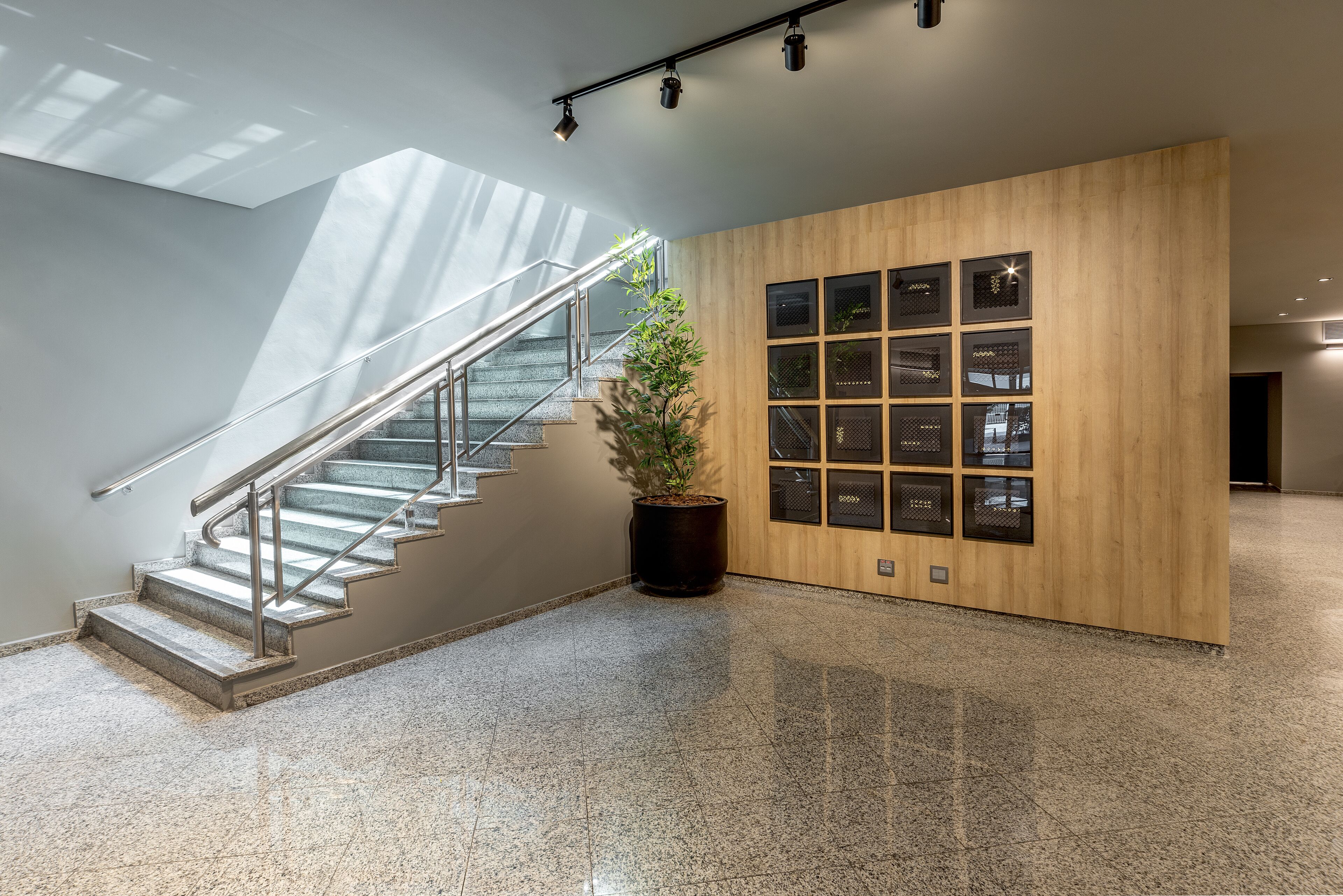 A modern interior with a staircase, a potted plant, and a wall with multiple display cases.