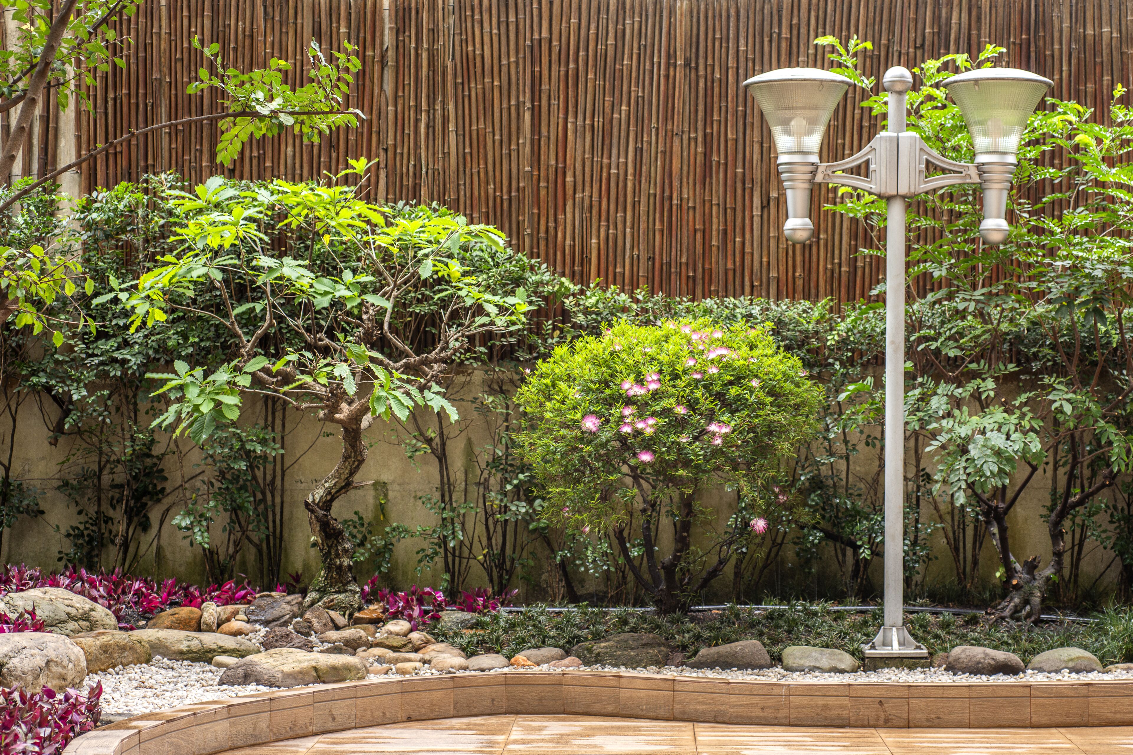 Um jardim bem cuidado com cerca de bambu, um poste de luz central e diversos arbustos e plantas.