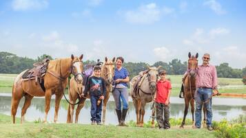 Un groupe de personnes se tient debout, près d’un plan d’eau, avec des chevaux.