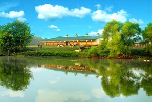 A stable with horses and a calm lake reflecting the sky.