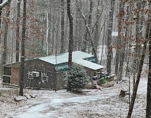 Exterior - Gnome Hill Cottage - A Rustic Pet-Friendly Cottage In The Woods (Cleveland)