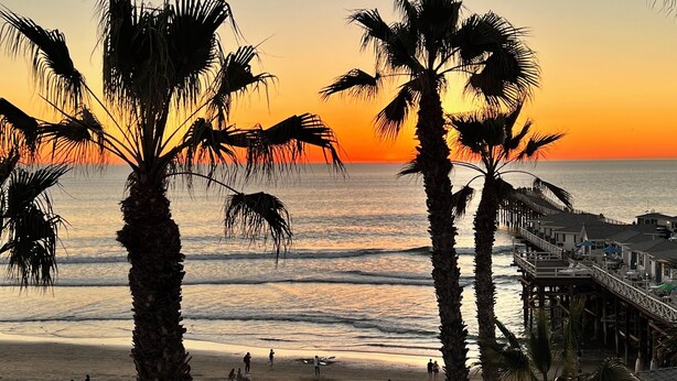 A beach with palm trees, a pier, and people relaxing. - Top Floor Ocean Front Remodeled Condo (San Diego)