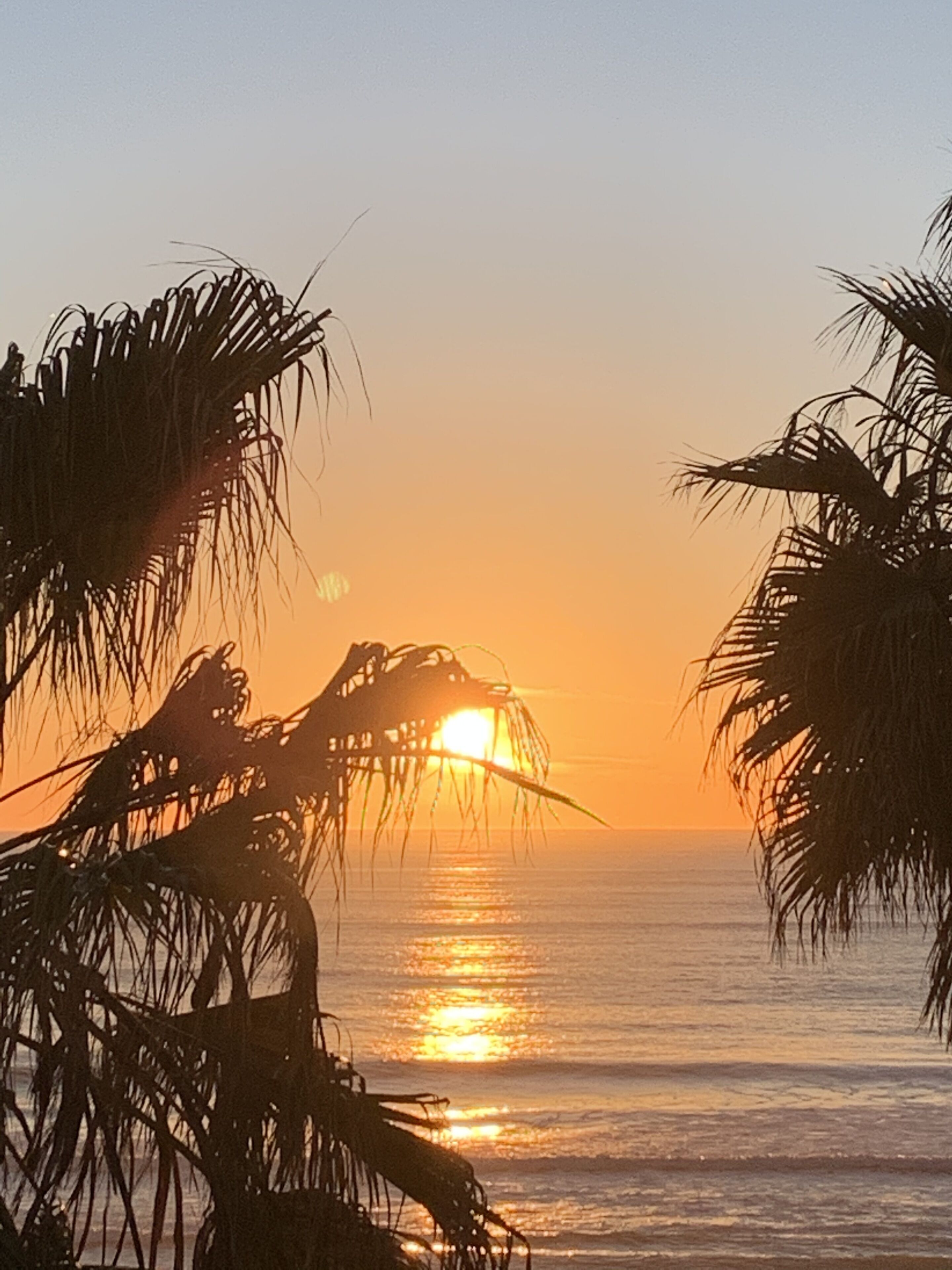 Una puesta de sol sobre un mar tranquilo con palmeras siluetas contra el cielo.