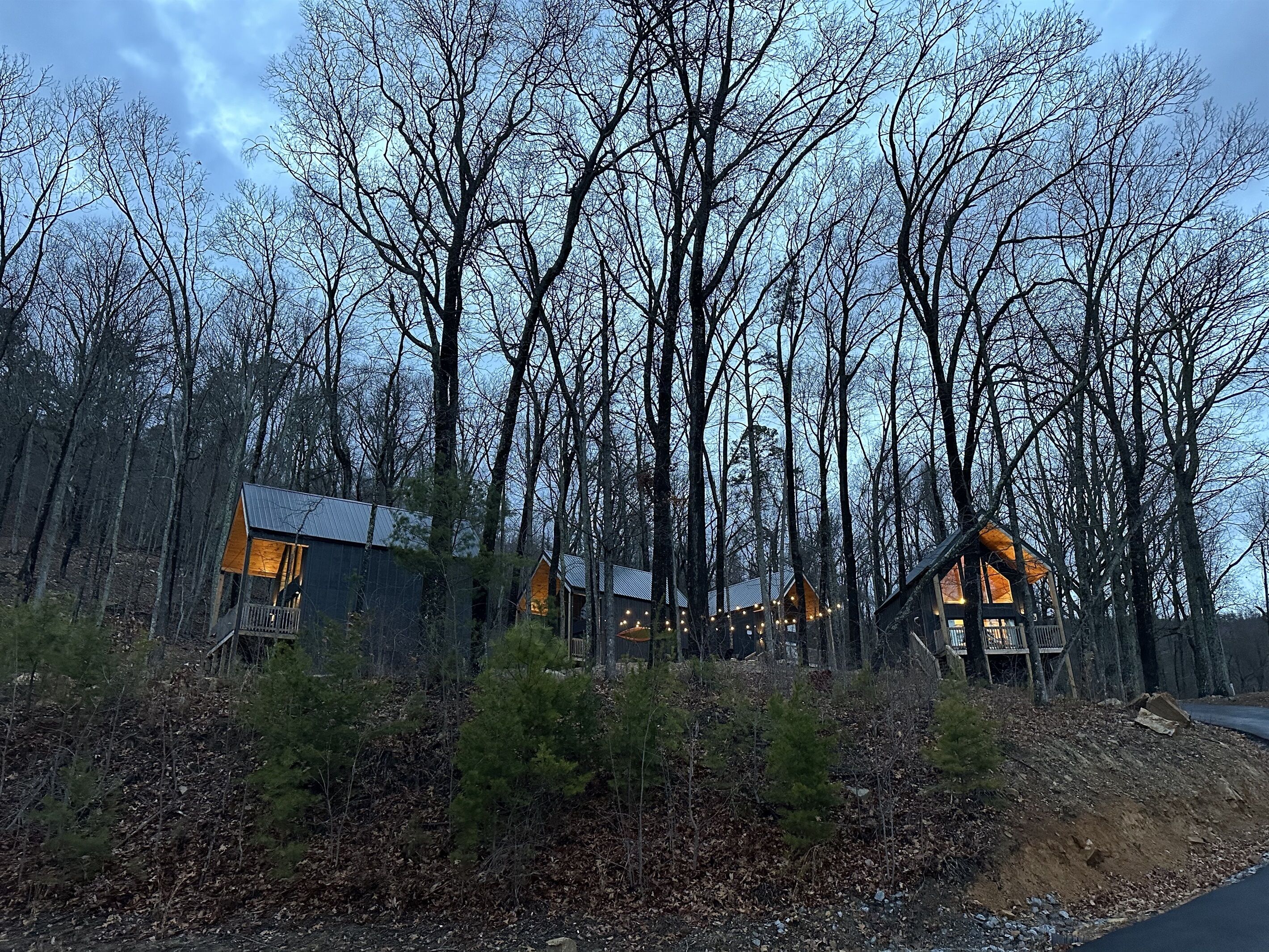 Eine Holzhütte mit Metall-Dach, umgeben von einem Wald.