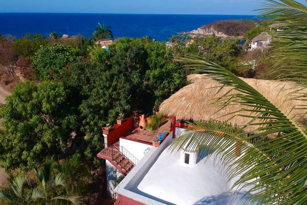 Tropical rooftop views with the ocean stretching out in the distance