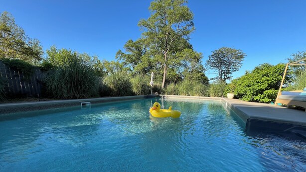 A clear blue swimming pool with a yellow inflatable duck, surrounded by lush greenery and trees. - Charming Bungalow On Main St & the Swamp Rabbit Trail with Private Pool (Travelers Rest)