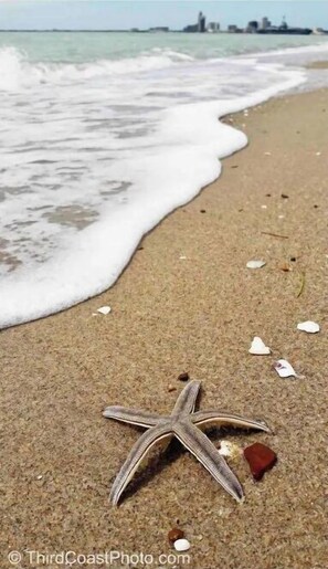 Beach - Beautiful Bayfront Water View (Corpus Christi)