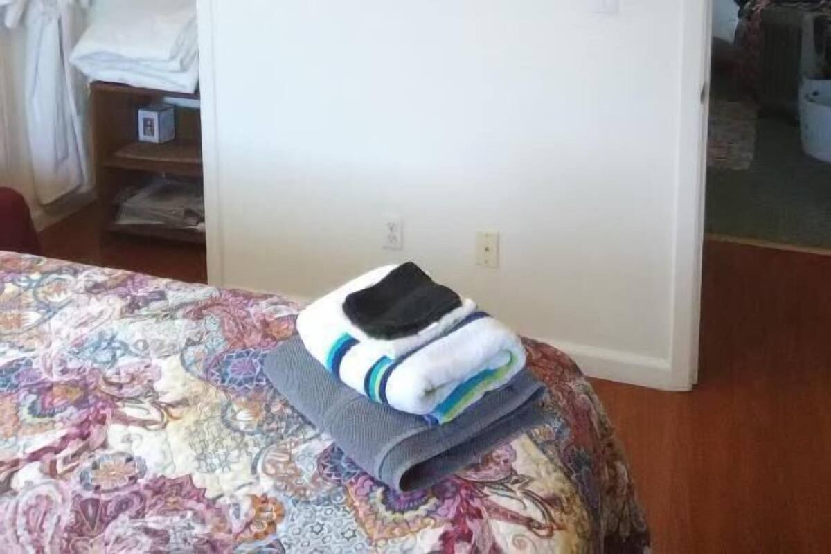 Comfort Single Room (Room 1) | Peralatan tempat tidur hipoalergenik, gebar bulu kapas 