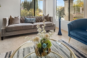 Smart TV, fireplace, Netflix, streaming services