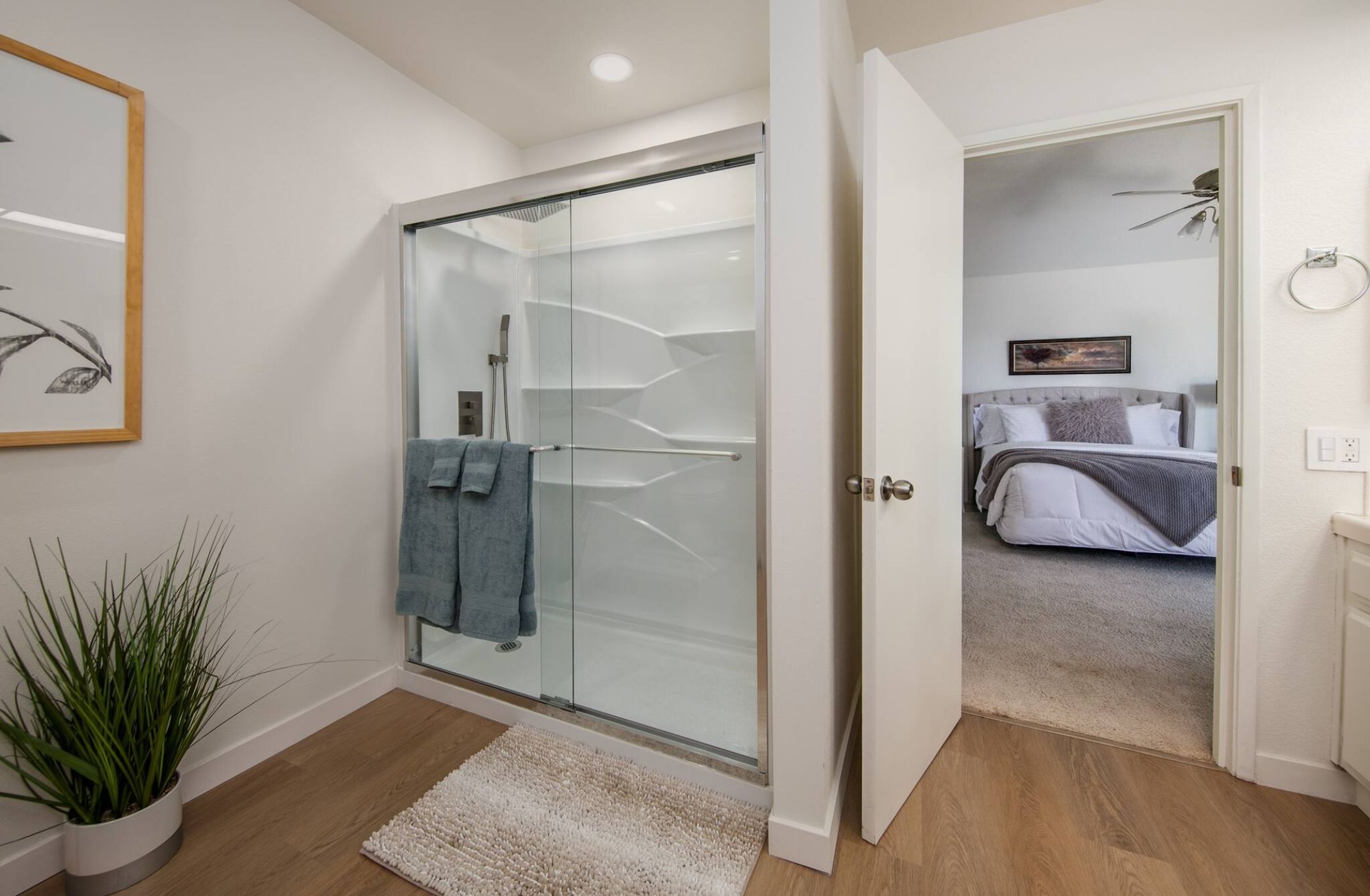 Une salle de bain moderne avec une douche à parois de verre, un porte-serviettes et une plante en pot.