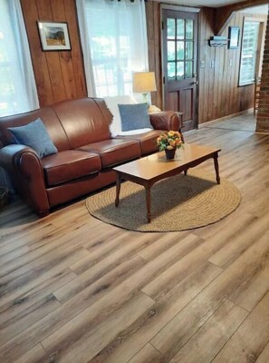 Smart TV, fireplace, DVD player, books