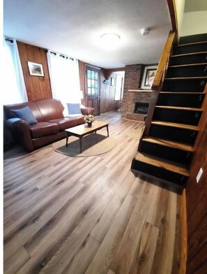 Smart TV, fireplace, DVD player, books