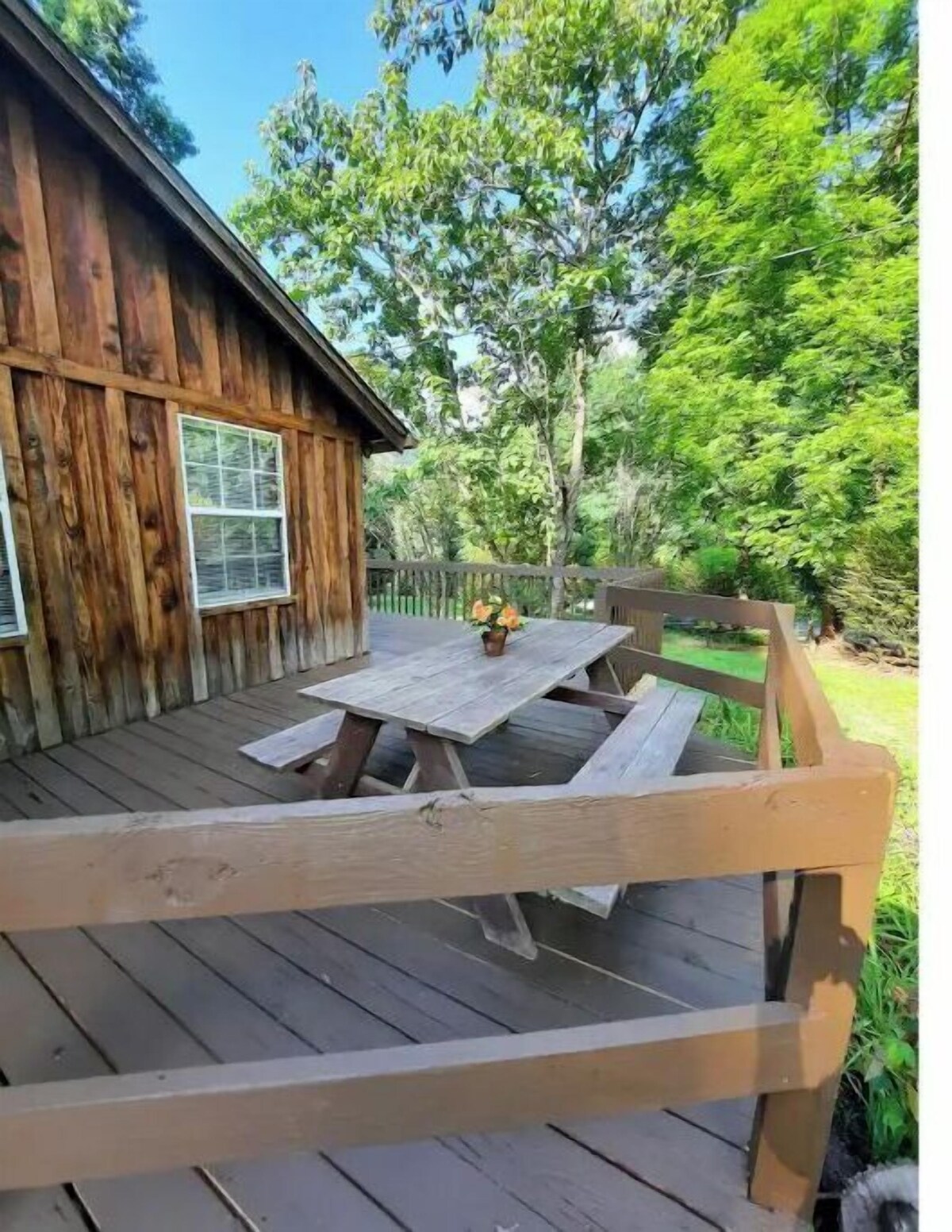 Bild für Gastgeberprofil