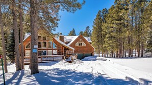 A cabin with a deck, surrounded by snow and trees. - Dog Friendly w/Guesthouse, Deck w/Grill, Foosball, Trail Access, Kid's Playhouse (Angel Fire)