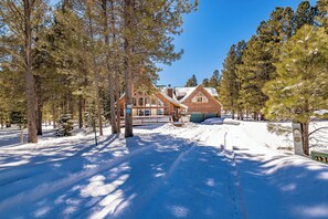 Exterior - Dog Friendly w/Guesthouse, Deck w/Grill, Foosball, Trail Access, Kid's Playhouse (Angel Fire)