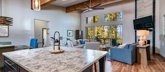 Modern Home,3 king beds w/bathrms, gourmet kitchen, stunning views, quiet area