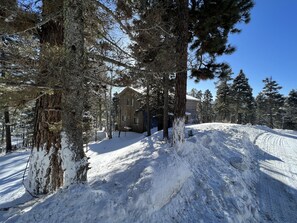 Exterior - Modern Lodge, Hot Tub, boot dryer, 2 car garage,  desks all BRs, XL Dining Table (Angel Fire)
