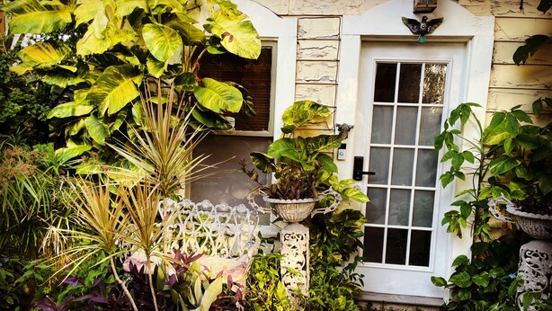A garden with various potted plants, a white door, and a stone pathway.