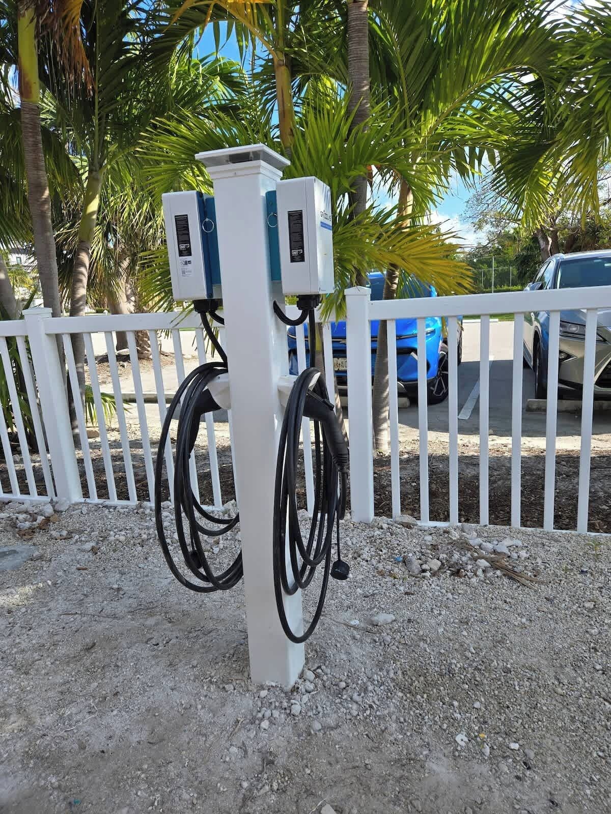 An electric vehicle charging station with a white fence and palm trees in the background.