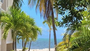A pathway lined with palm trees leading to a beach. - Relaxing beachfront getaway ocean heated pool U4 (Marathon)