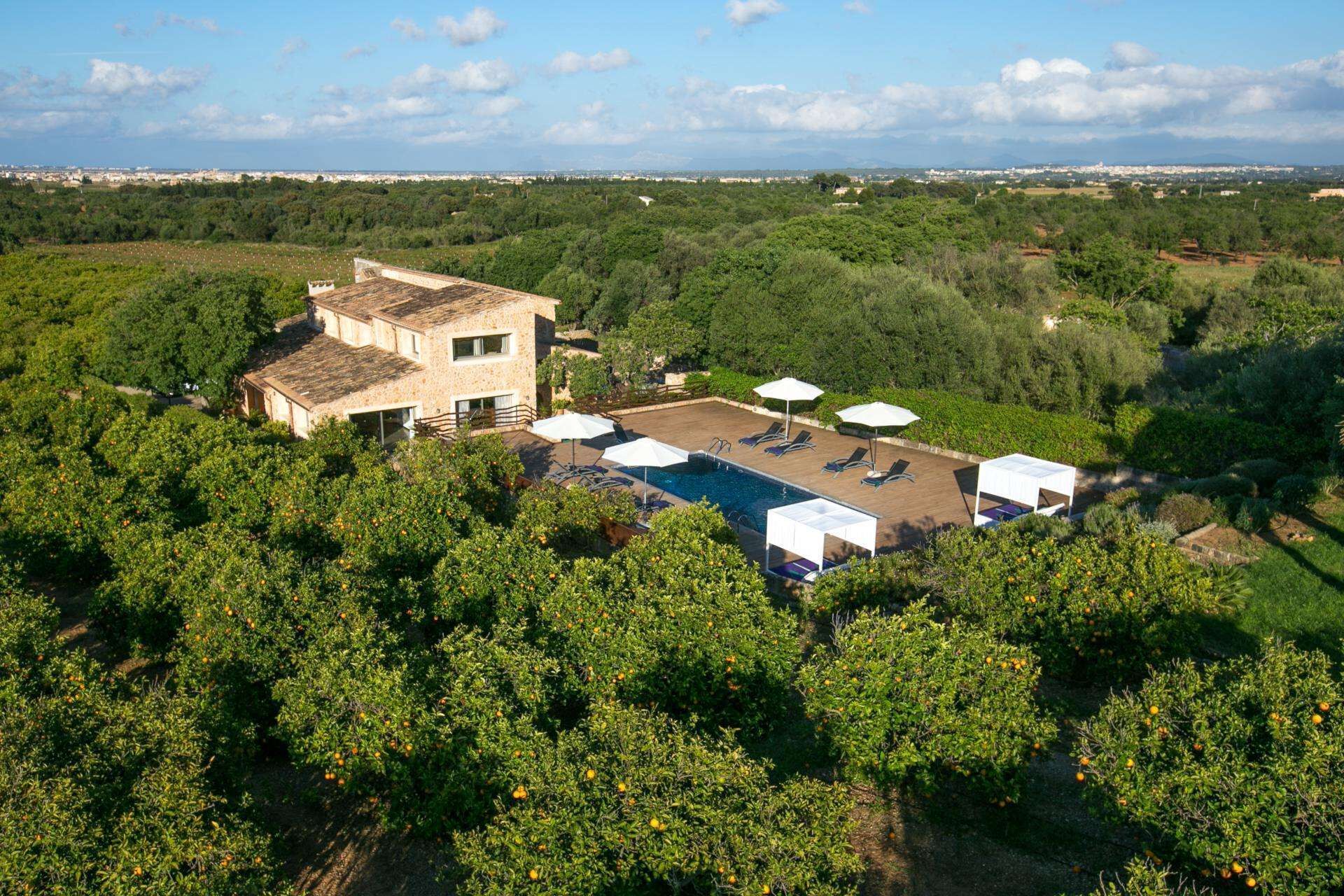 Una villa con piscina rodeada de naranjales, con el paisaje de una ciudad costera de fondo.