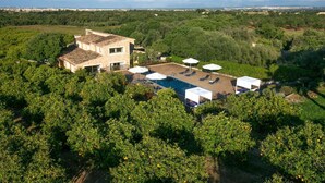 Eine Villa mit Swimmingpool, umgeben von Orangenplantagen, vor der Kulisse einer Küstenstadt.