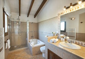 Combined shower/tub, jetted tub, hair dryer, towels