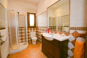 Une salle de bain équipée d’une douche, de toilettes et d’un meuble-lavabo avec un miroir.