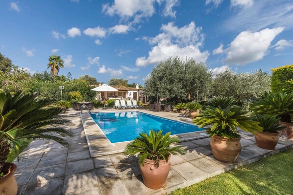A swimming pool with lounge chairs, surrounded by potted plants and a building in the background.