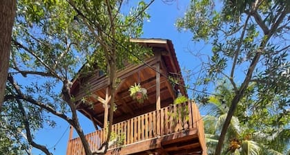 Cabañas el Refugio Holbox